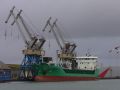 Arklow future - bassin de Penhoet - 28 novembre 2009 (03).JPG
